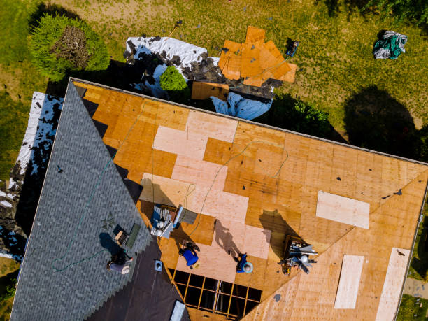 Roof Gutter Cleaning in Rocky Top, TN